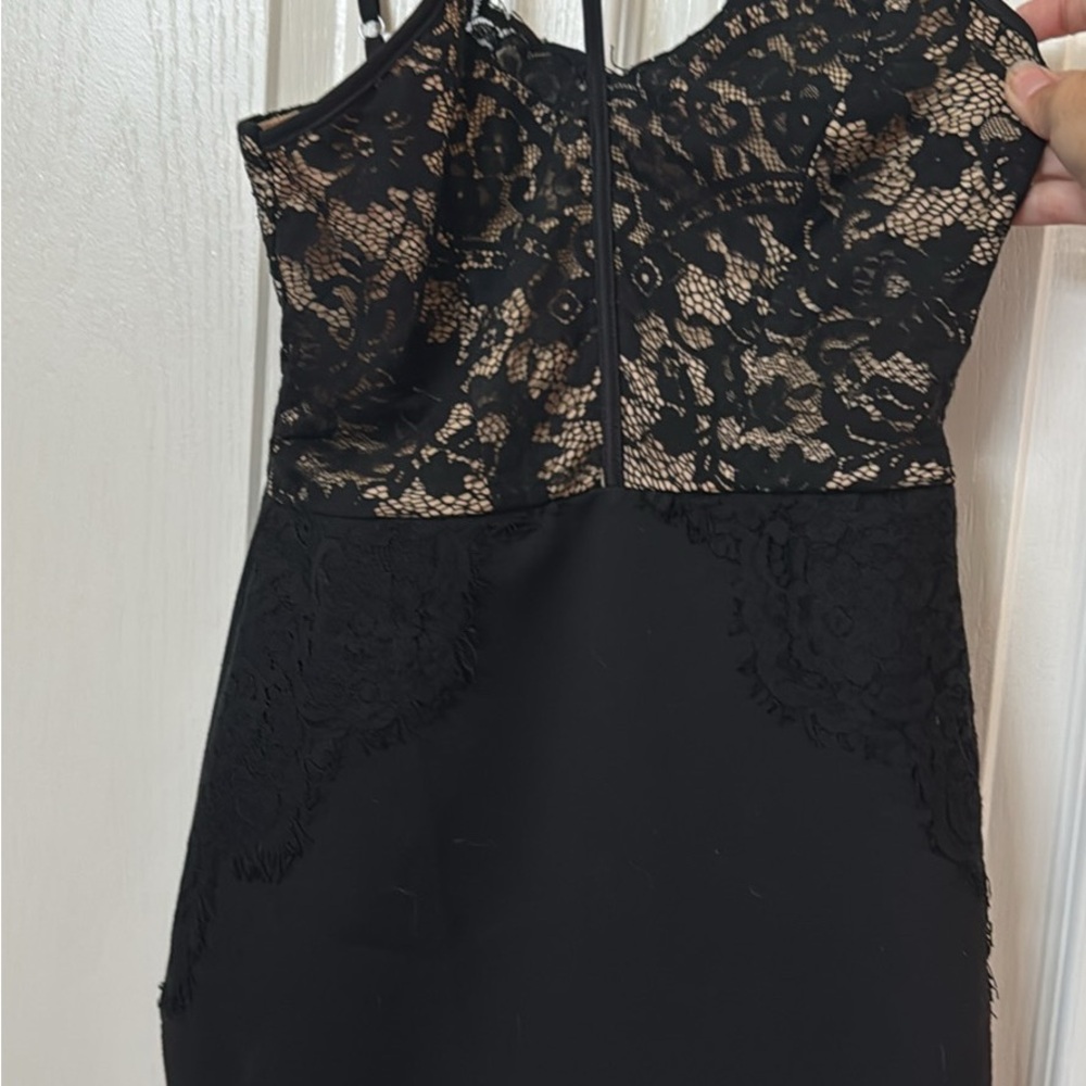 The Room Elegant Black and Cream Lace Mini Dress